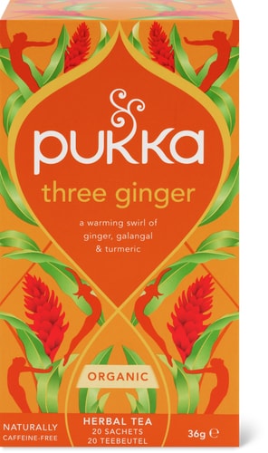 Pukka Bio Kräutertee Drei Ingwer Ingwer, Galgant & Kurkuma
