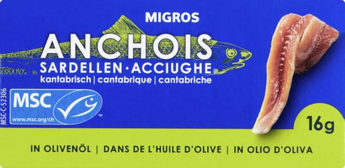 MSC Anchovies Cantabrian anchovies in olive oil