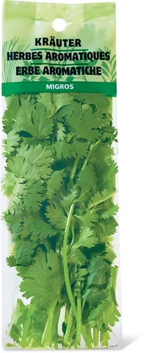 Coriander