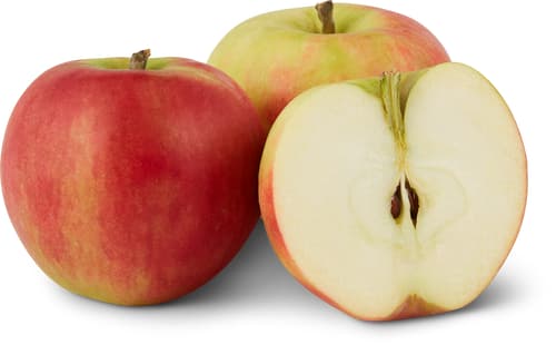 Äpfel Elstar süss-säuerlich