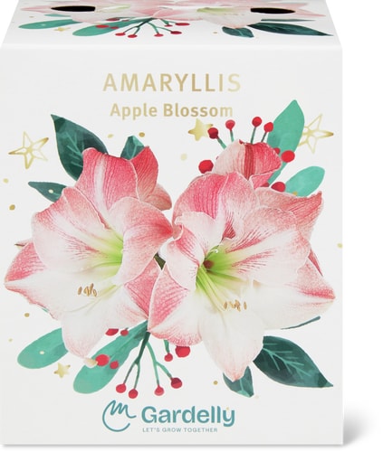 Do it + Garden Amarillide di plastica  Rosa, bianco