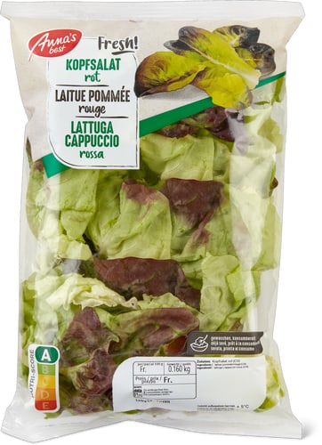 Roter Kopfsalat