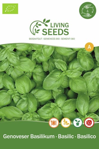 Demeter Genovese Basil