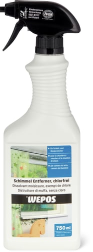 Dissolvant moisissures 