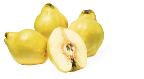Quitten