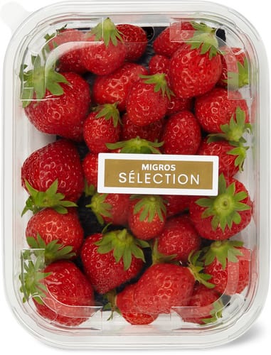 Sélection Erdbeeren Mara de bois 250g