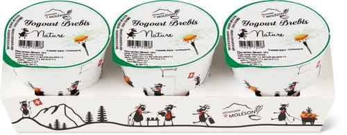 Yogourt brebis nature