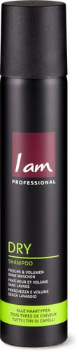 Dry Shampoo All Hair Types