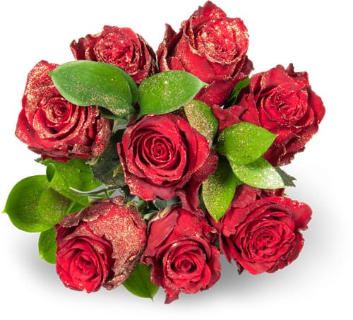 Strauss Solana 2 handgebunden