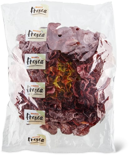 Fresca Oak Leaf Lettuce Red