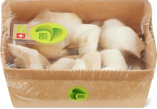 Bio King Trumpet Mushrooms