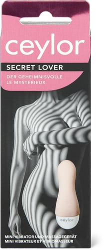 Secret Lover Mini Vibrator