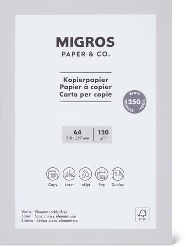 Copy Paper 120 g, 250 Sheets