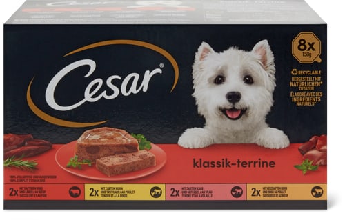 Classic terrine with beef, chicken, veal and turkey