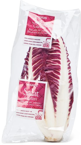 Fresca Cicorino Trevisano Red