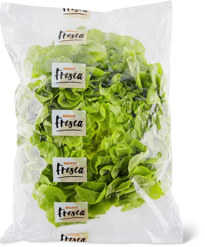 Fresca Oak Leaf Lettuce Green