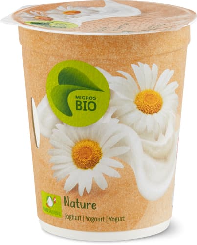 Joghurt Nature