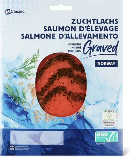ASC Graved Lachs