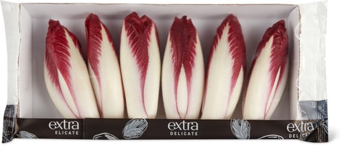 Young Red Chicory Extra Delicate
