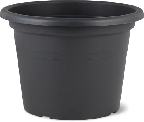 Flower pot Ø30