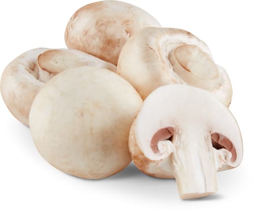 Bio Button Mushrooms White