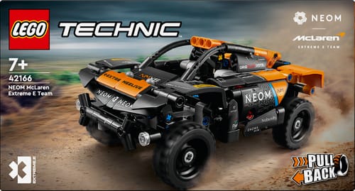 Technic 42166