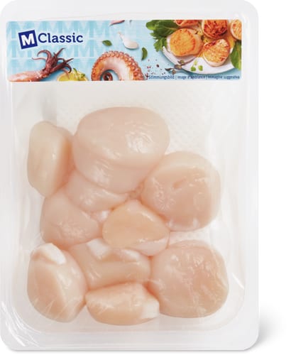 MSC Scallops
