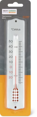 Thermometer Silver