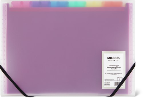Multi-Compartment Folder A4, 13 Compartments, Rainbow