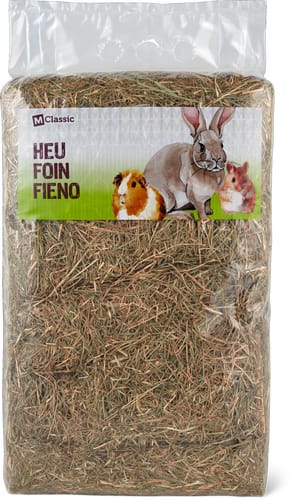 Hay