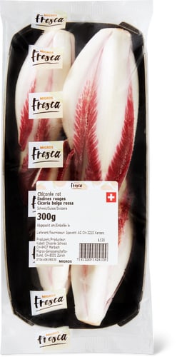 Fresca Chicory Red