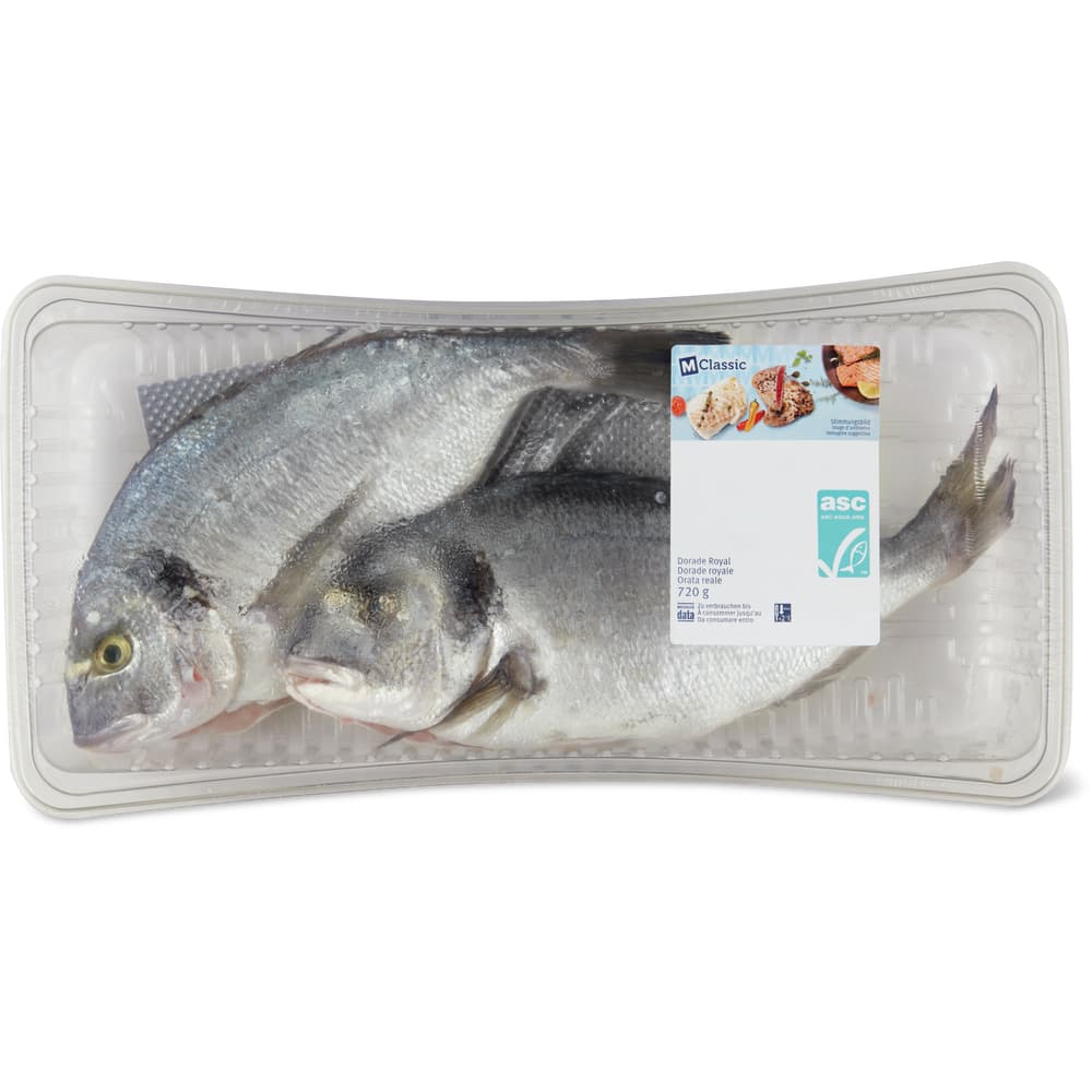 M-Classic Dorade Royal