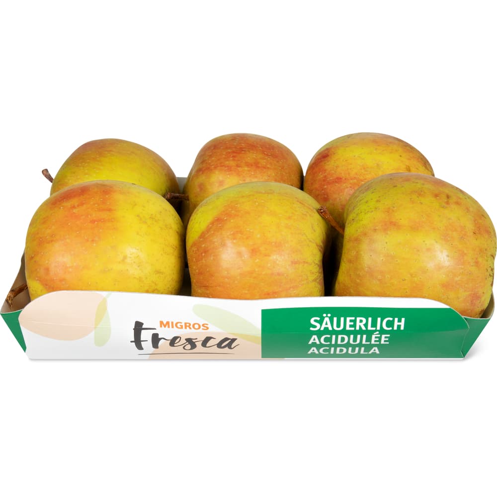 Migros Fresca Äpfel Boskoop