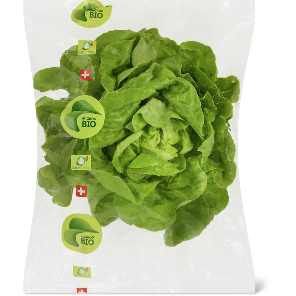 Kopfsalat Bio, grün