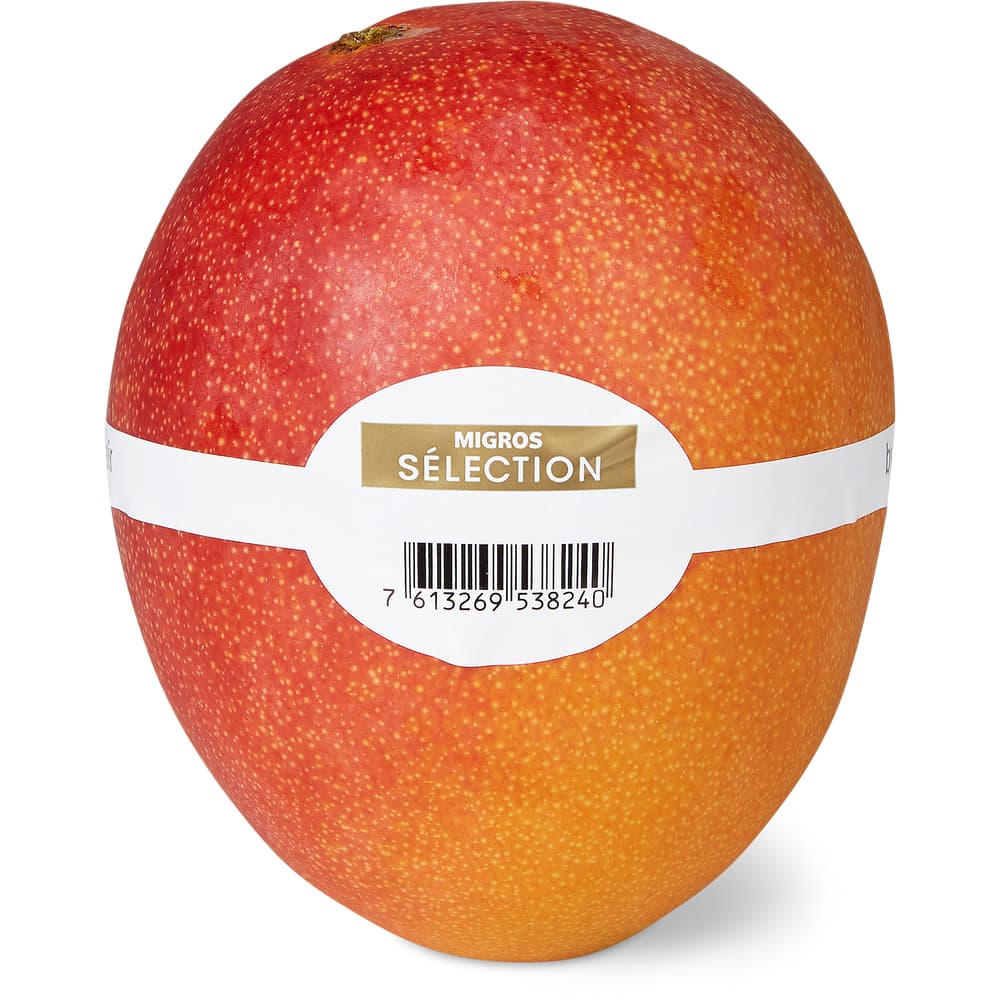 Sélection Mango