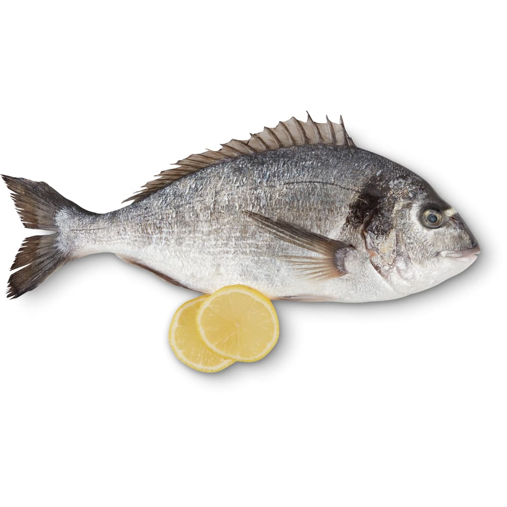 Dorade Royale, ASC • Migros