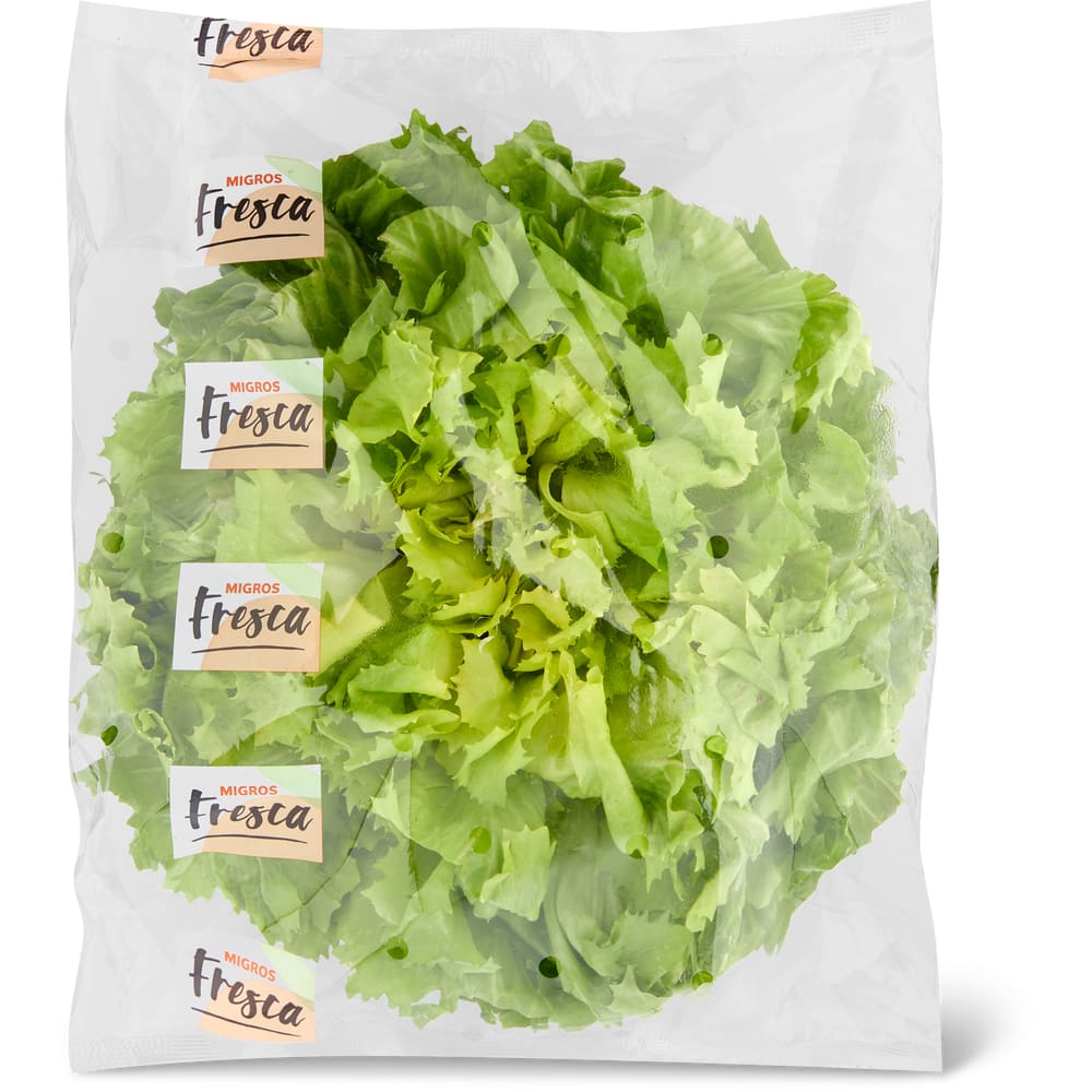 Migros Fresca Endiviensalat Scarole Lavata