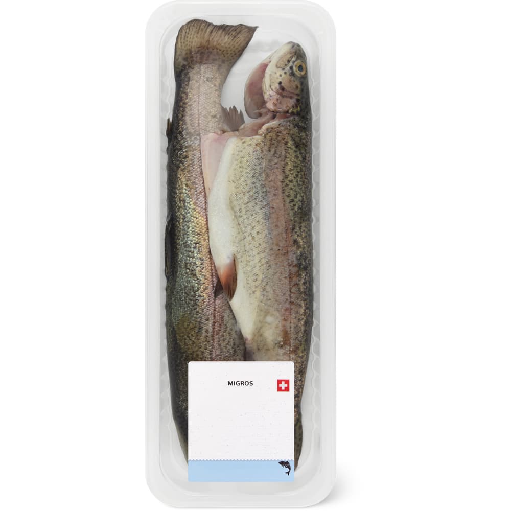 Migros Forelle weiss ganz