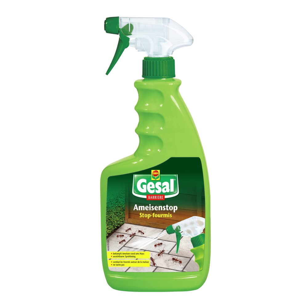Compo Gesal  Ameisenstop Spray  Migros