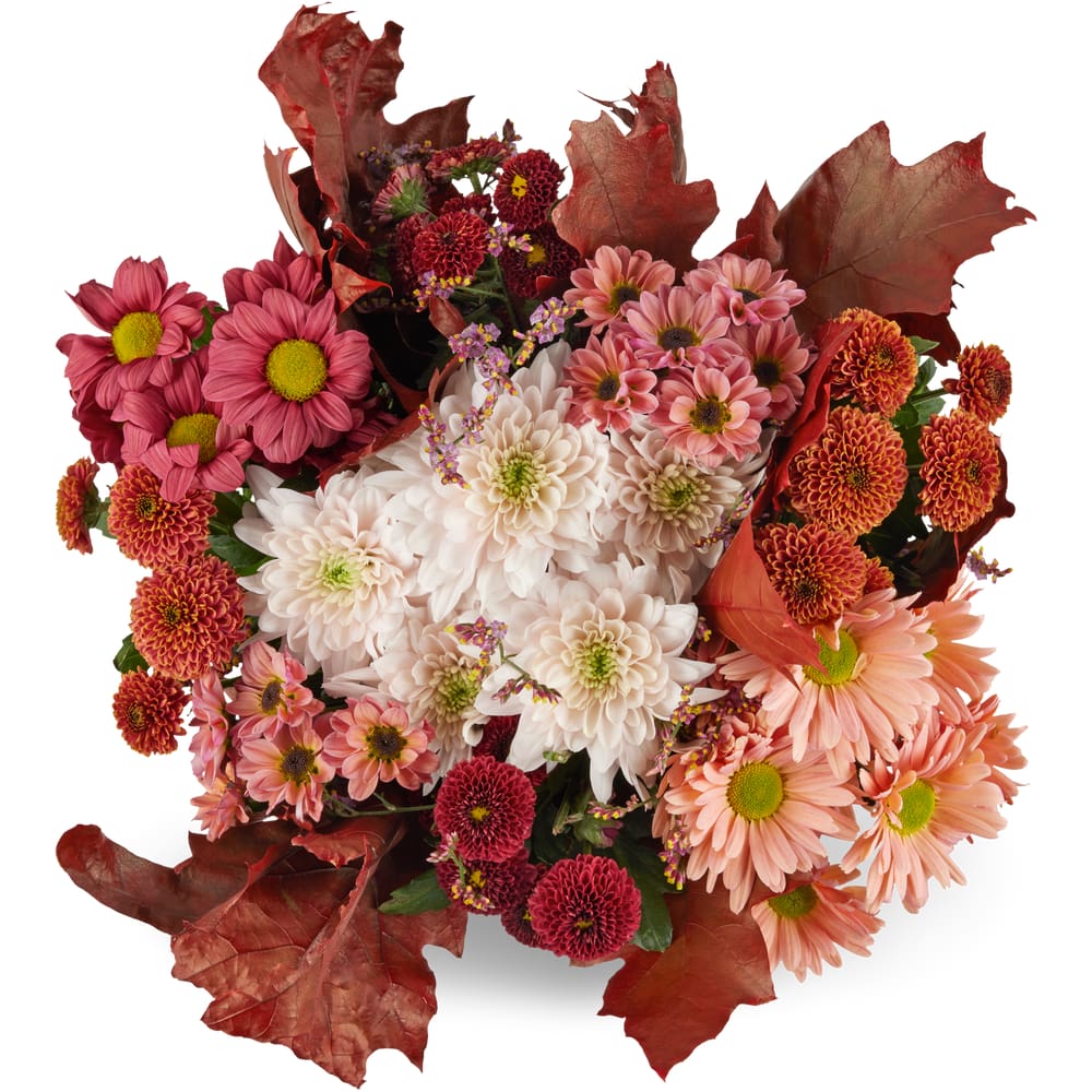 Migros Chrysanthemenstrauss