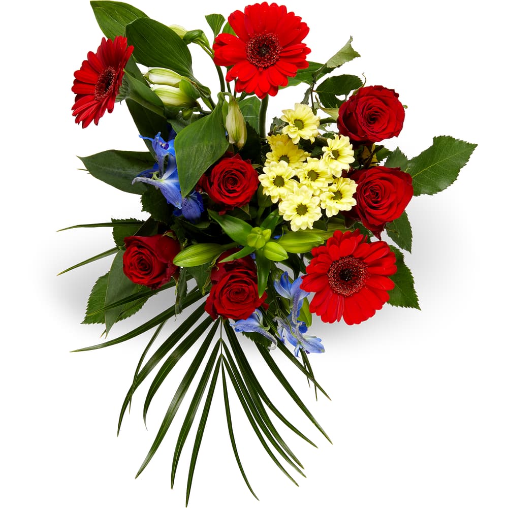 Migros Strauss Surprise Midi