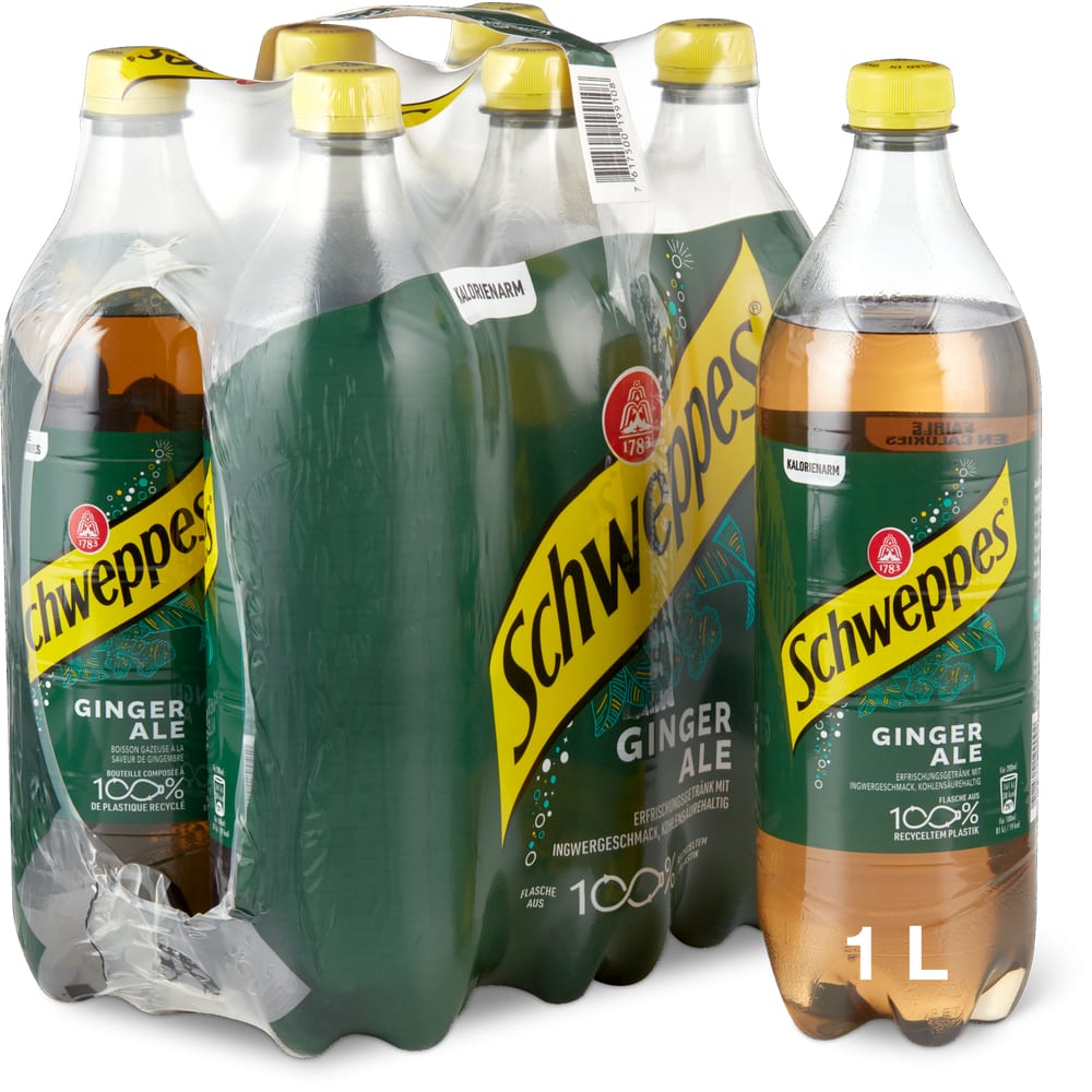Schweppes Ginger Ale kalorienarm, mit Ingwergeschmack