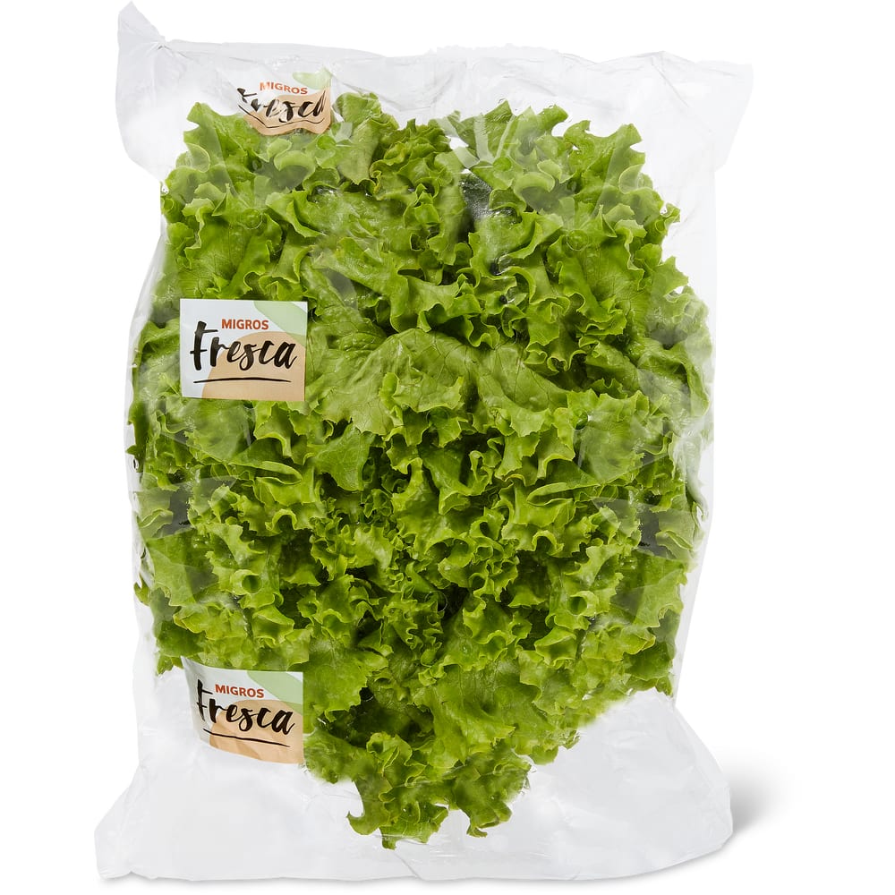 Migros Fresca Bataviasalat