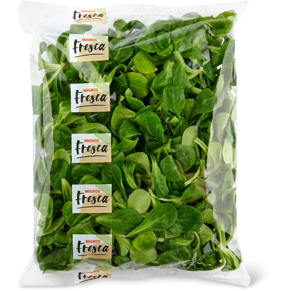 Migros Fresca Nüsslisalat