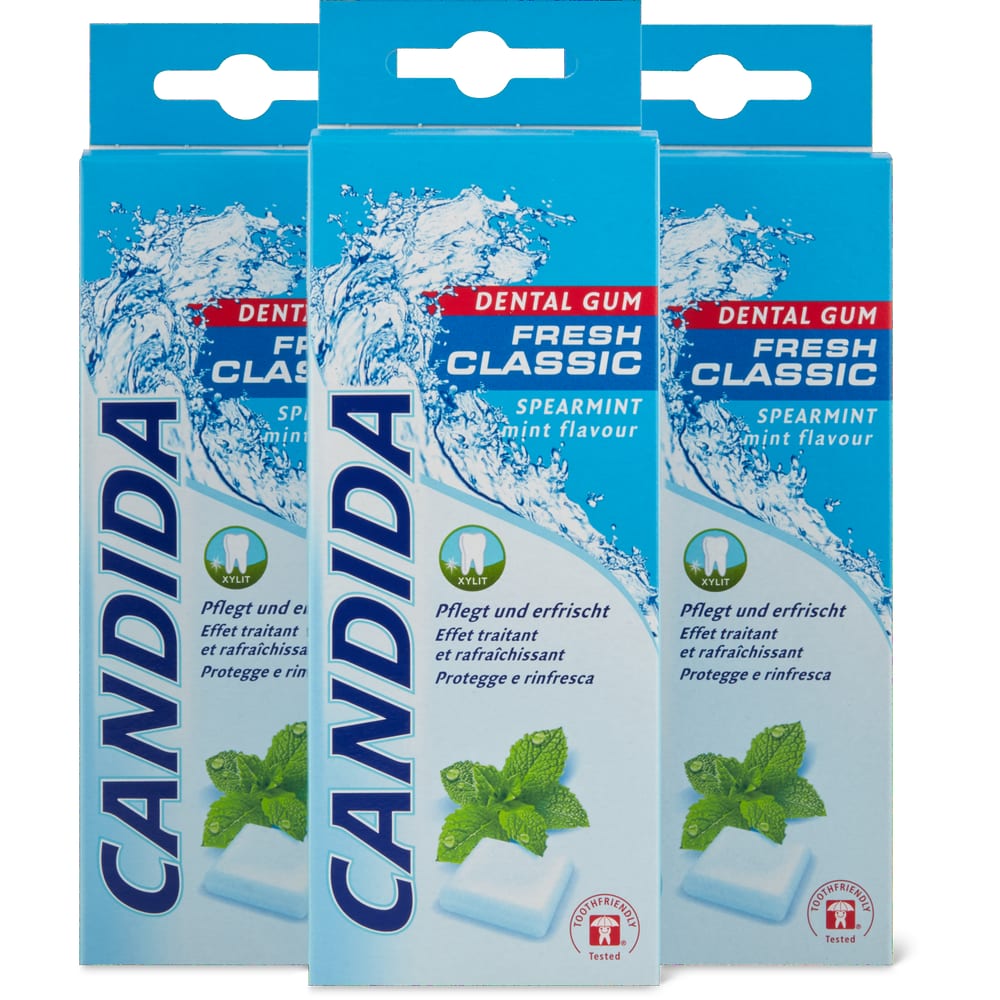 Candida Dental Gum Fresh Classic Spearmint