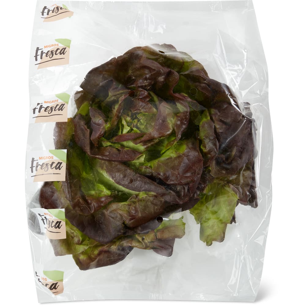 Migros Fresca Kopfsalat rot