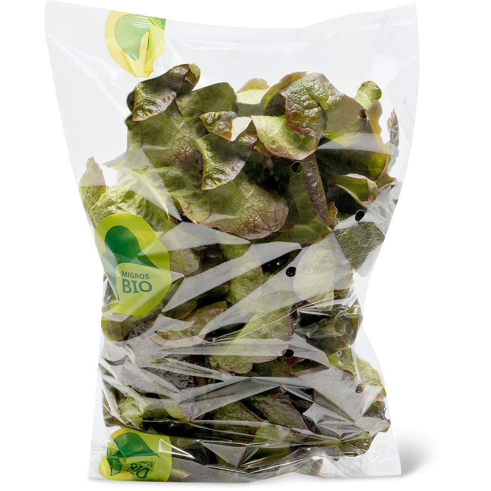 Migros Bio Eichblattsalat Rot