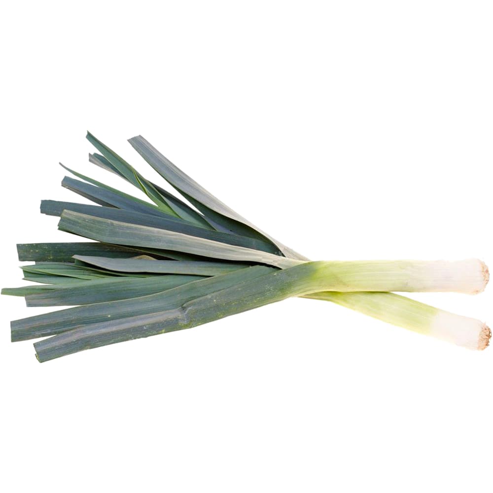 Migros Bio Lauch grün