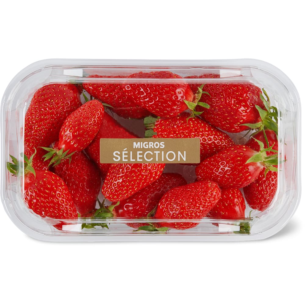 Sélection Erdbeeren Gariguette