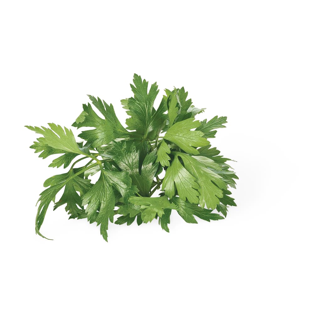 Migros Fresca Petersilie glatt